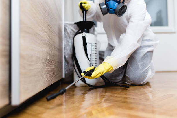 Best Affordable Exterminators  in Wyoming, DE