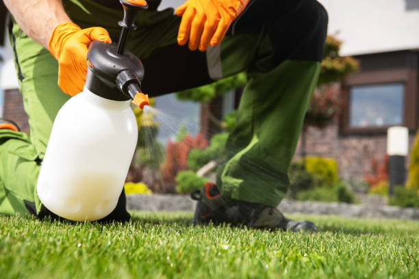 Best Affordable Pest Control Services  in Wyoming, DE