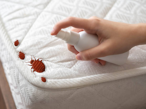 Best Termite Control Services  in Wyoming, DE