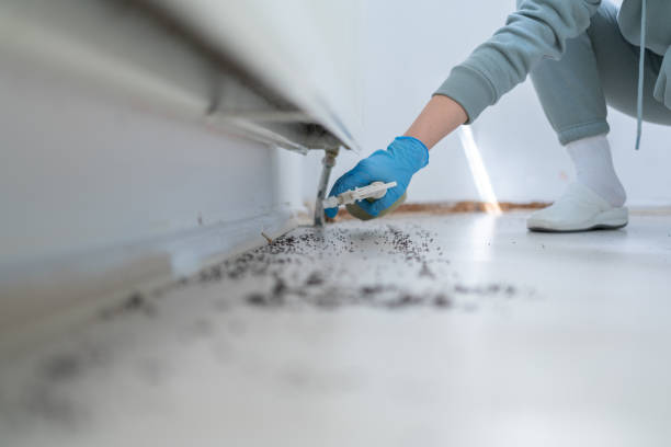 Best Rat Extermination Near Me  in Wyoming, DE
